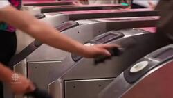 Bugs on public transit News Clip