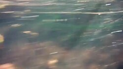 Underwater at Cenote in the Yucatán Peninsula, Mexico Stock Footage