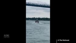#TheMoment he survived a 43-metre fall from the Ambassador Bridge News Clip