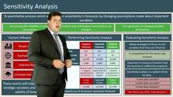 Understanding Business Forecasting: The Importance and Limitations of Sensitivity Analysis Instructional Video