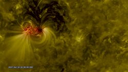 Two Weeks in the Life of a Sunspot Instructional Video