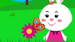 Ria et le papillon Instructional Video