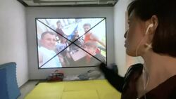 New exhibit opens at Ukrainian art centre during war News Clip