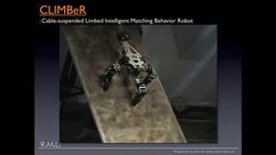 TED: My seven species of robot -- and how we created them | Dennis Hong Instructional Video