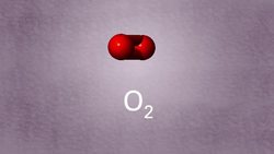 What Are Allotropes? Non-Metals Instructional Video