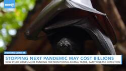 Study: Preventing Next Pandemic Will Cost More Than $22 Billion A Year News Clip