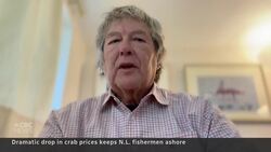 Low price for snow crab keeping fishermen on shore News Clip