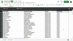 Google Sheets Fundamentals - Filter Views Instructional Video