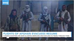 Newsy’s Latest Headlines News Clip