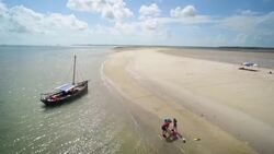 Preserving Native Ecology in Sustainable Living Instructional Video