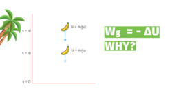 Why Potential Energy is Negative of Work Done? (Derivation of Potential Energy) Instructional Video