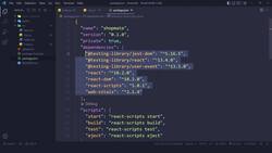 React JS Masterclass - Go From Zero To Job Ready - JSON Server / 031 Instructional Video