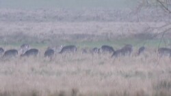People exercise on a rainy day News Clip