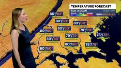 HEAT ALERT: Heat advisory continues in the Bronx; afternoon storms expected News Clip