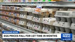 US egg prices fall for the first time in months but remain near record highs News Clip