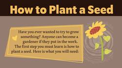 Write a How-To Text Instructional Video