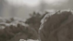 Slow motion, close up of sheared Merino wool Stock Footage