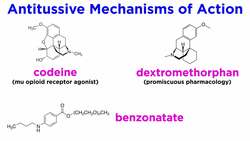 Antitussives: Halting the Coughing Reflex (Codeine, Dextromethorphan, Tessalon) Instructional Video