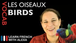 Birds in French (basic French vocabulary from Learn French With Alexa) Instructional Video
