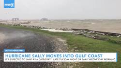 Newsy's Latest Headlines News Clip