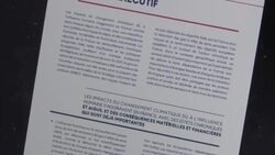 CLEAN : 'Leap in climate action' needed, says French High Council on Climate News Clip