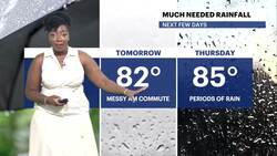 Warm and muggy under a mostly cloudy sky; tracking more rain for the Bronx News Clip