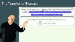 The Transfer of Biomass in Food Chains: Efficiency and Energy Loss Instructional Video