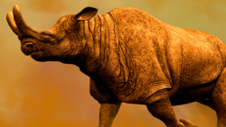 Do Thunderbeasts Prove Giant Animals Are Inevitable? Instructional Video