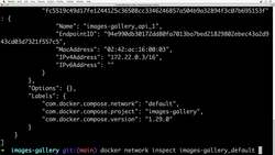 The Complete Practical Docker Guide - Exploring Networking Between Docker Containers Instructional Video