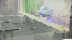 Scientists doing COVID tests in a lab News Clip