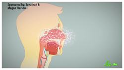 Why Does Putting a Finger Under Your Nose Stop a Sneeze? Instructional Video