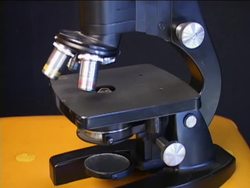 The Microscope: Types of Microscopes and Their Functions Instructional Video