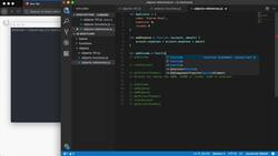 The Modern JavaScript Bootcamp (2019) - Build an Expense Tracker Instructional Video