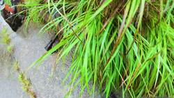 CAUGHT in a TYPHOON! Instructional Video