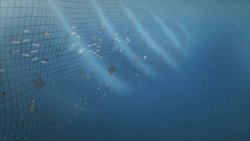 Ghost nets explained Instructional Video