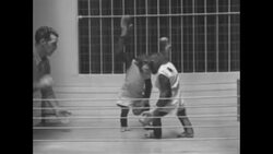 Boxing match staged with chimps at zoo News Clip
