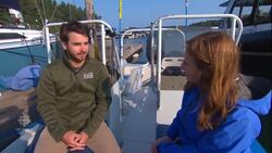 Endangered orca keeping dead calf afloat News Clip