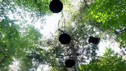 Zip line and rope games Adventure in Forest Stock Footage