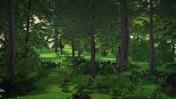 The impact of plants on global warming Instructional Video