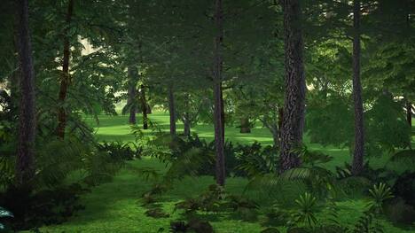 The impact of plants on global warming