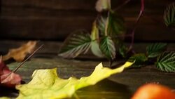 Halloween table decorations Stock Footage