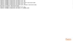 Learn Git in 3 Hours- Creating New Branches Instructional Video