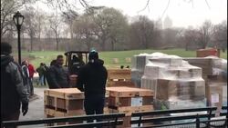 CLEAN : Coronavirus: Field hospital set up in New York's Central Park News Clip