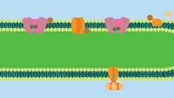 Photosynthesis: The Biochemistry Behind How Plants Make Their Food Instructional Video