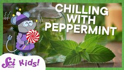 Why Does Peppermint Taste So Cold? | SciShow Kids Instructional Video