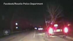 Woman drives with 15-foot tree stuck in car's bumper News Clip