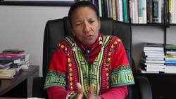 Ama Mazama - Homeschooling Black Children Instructional Video