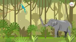 Why Do We Dance To Music? Instructional Video