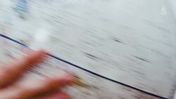 Unveiling the Bobbitt worm, nature's ruthless predator Instructional Video