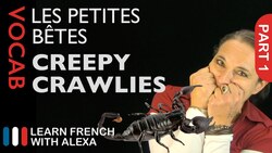 Creepy Crawlies in French Part 1 (basic French vocabulary from Learn French With Alexa) Instructional Video